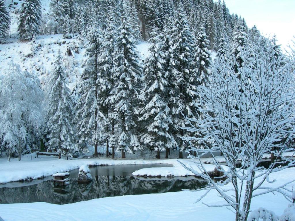 Hotel Evianquelle Bad Gastein Eksteriør billede